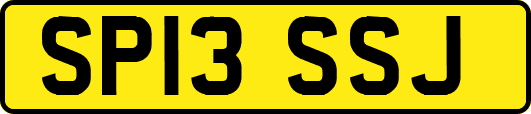 SP13SSJ