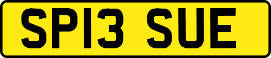 SP13SUE