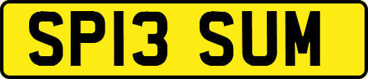 SP13SUM