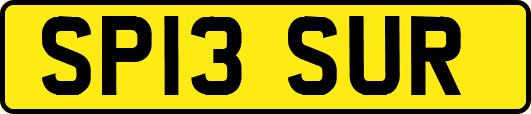 SP13SUR