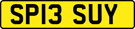 SP13SUY