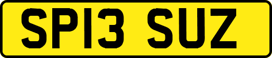 SP13SUZ