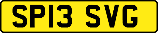 SP13SVG