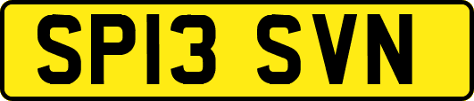 SP13SVN