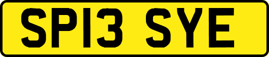 SP13SYE
