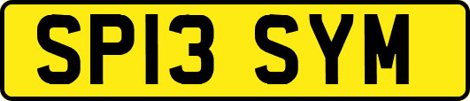 SP13SYM