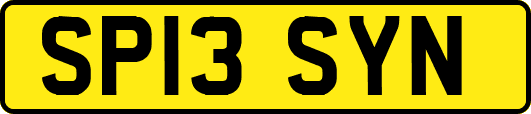 SP13SYN