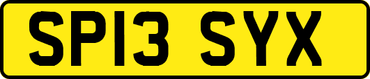 SP13SYX