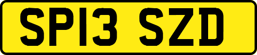 SP13SZD