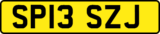 SP13SZJ