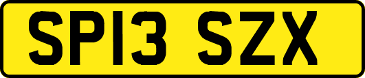 SP13SZX