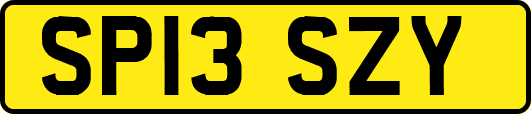 SP13SZY