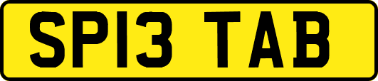 SP13TAB