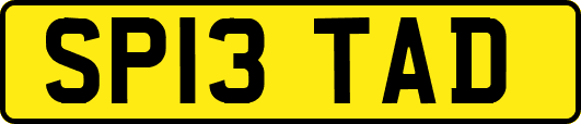 SP13TAD