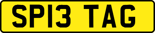 SP13TAG