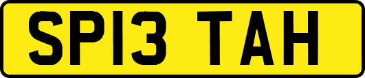 SP13TAH