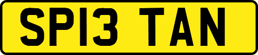 SP13TAN