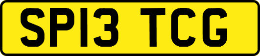 SP13TCG