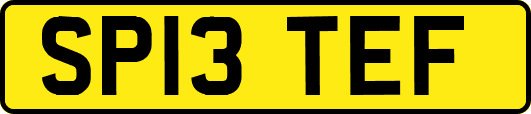 SP13TEF