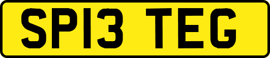 SP13TEG