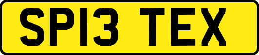 SP13TEX