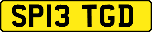 SP13TGD