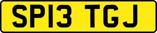 SP13TGJ