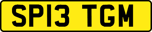 SP13TGM