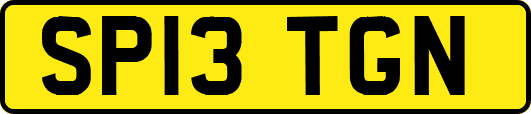 SP13TGN
