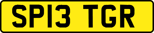 SP13TGR