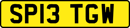 SP13TGW