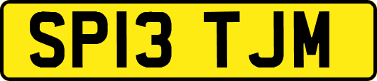 SP13TJM