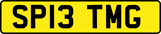 SP13TMG