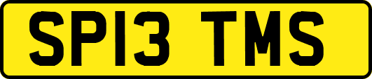 SP13TMS