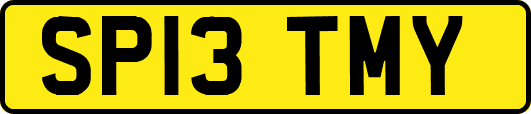 SP13TMY