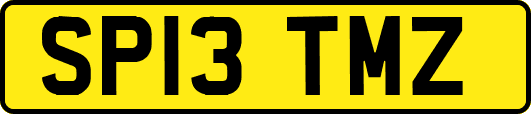 SP13TMZ