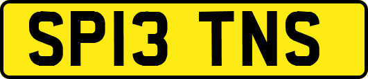 SP13TNS