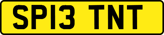 SP13TNT