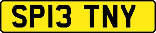 SP13TNY