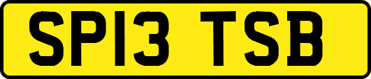 SP13TSB