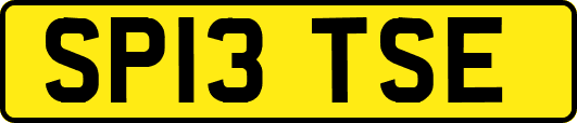 SP13TSE