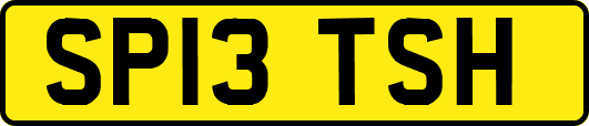 SP13TSH