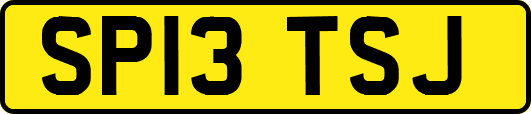 SP13TSJ
