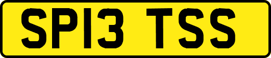 SP13TSS