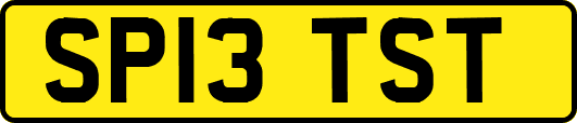 SP13TST