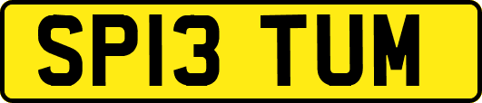 SP13TUM