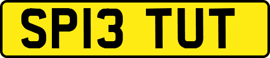 SP13TUT