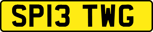 SP13TWG