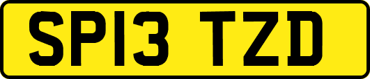 SP13TZD