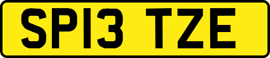 SP13TZE